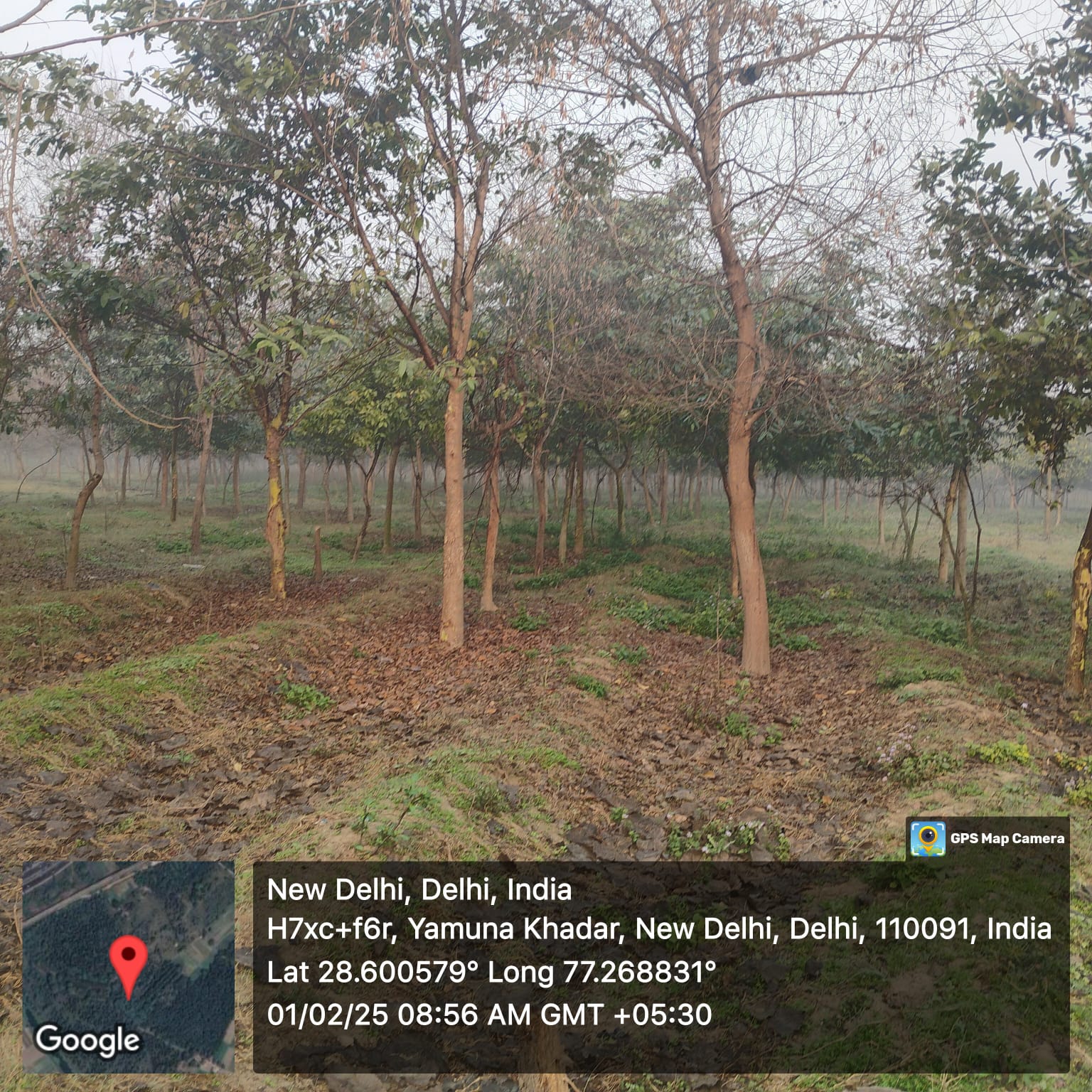 Compensatory Afforestation